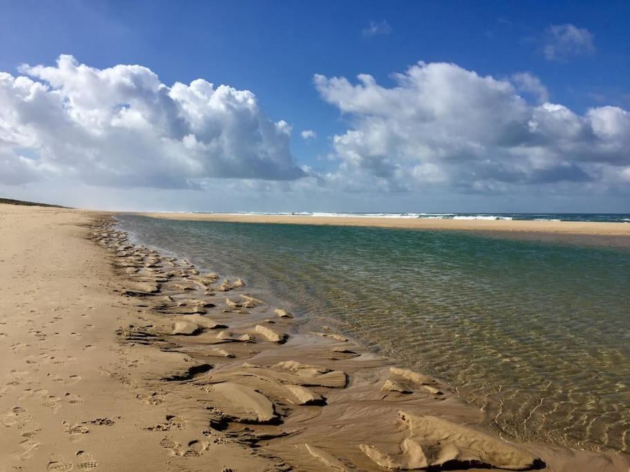 Bel Appartement En Bord De Mer Avec Piscine Lacanau Extérieur photo
